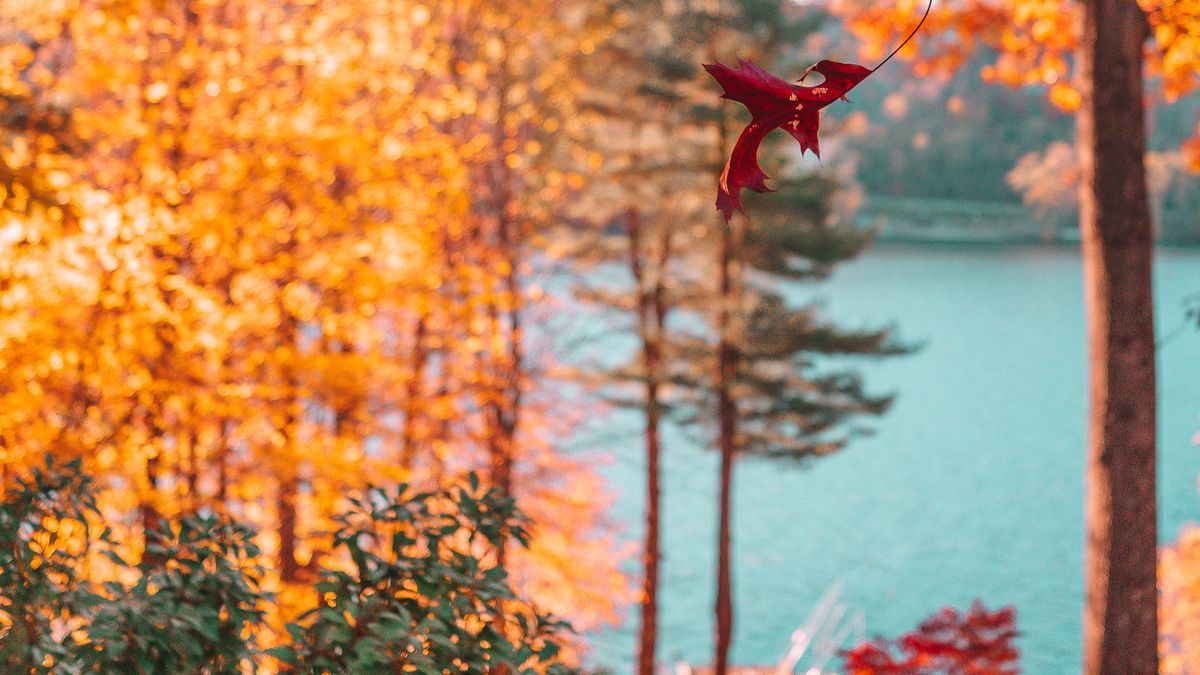 Autumn on Candlewood Lake, Connecticut